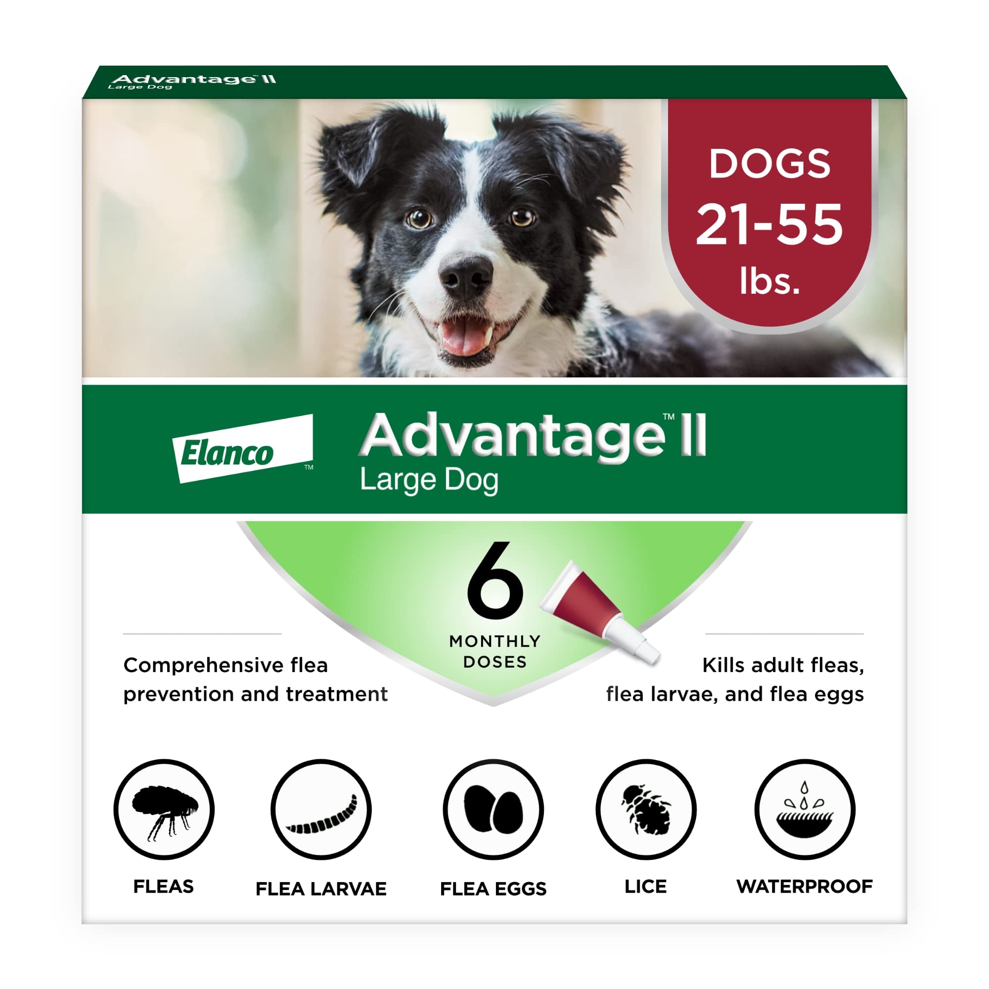 Advantage II para perros grandes: presentación y uso sencillo para el cuidado de pulgas.