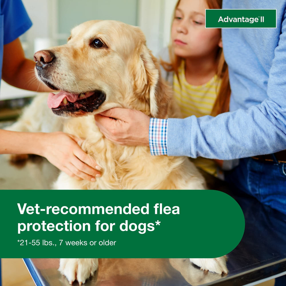 Protección de 30 días con Advantage II para perro grande.