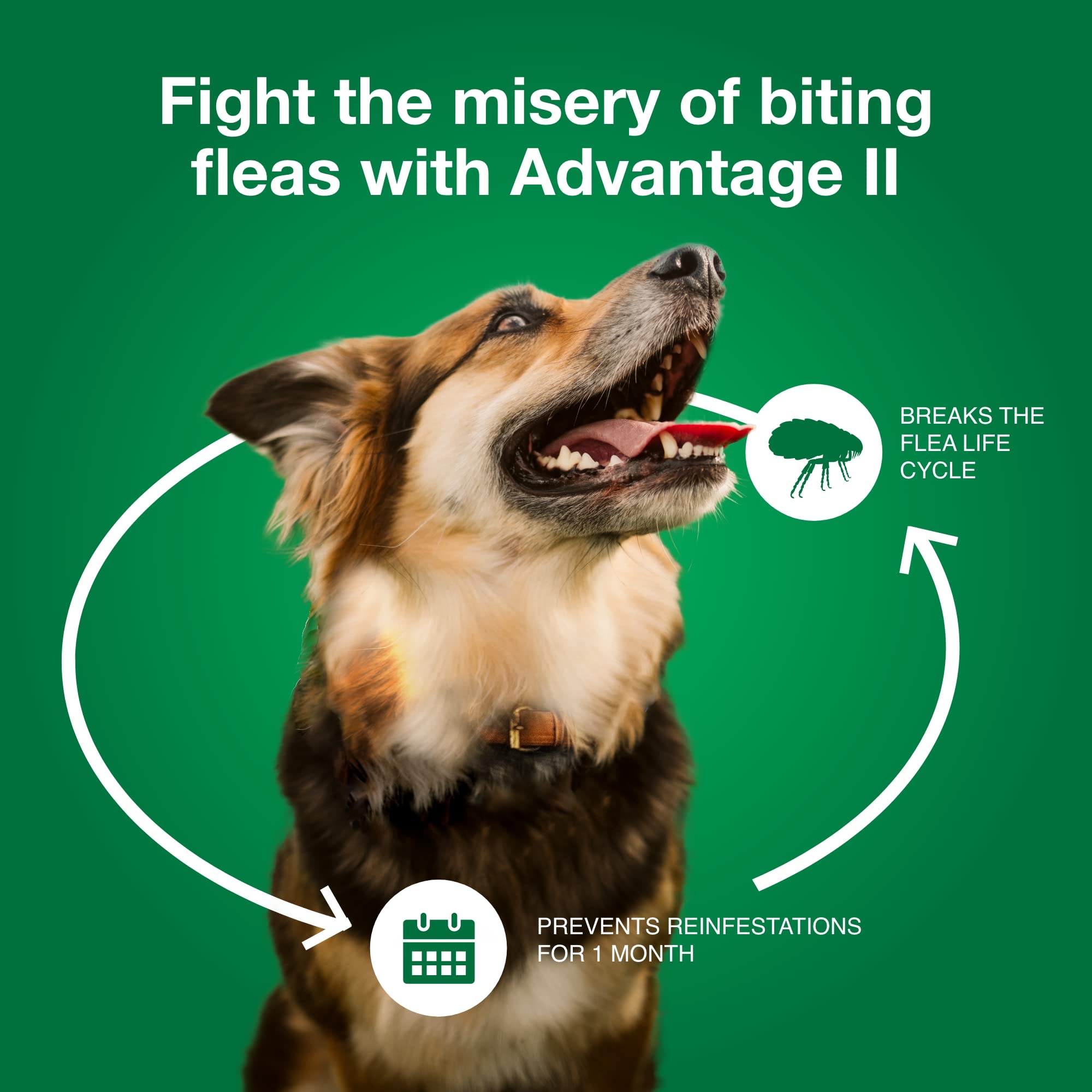 Fórmula sin fragancia de Advantage II para mayor comodidad.
