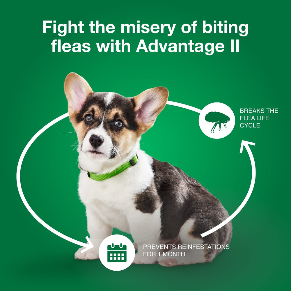 Advantage II sin fragancia, ideal para perros sensibles