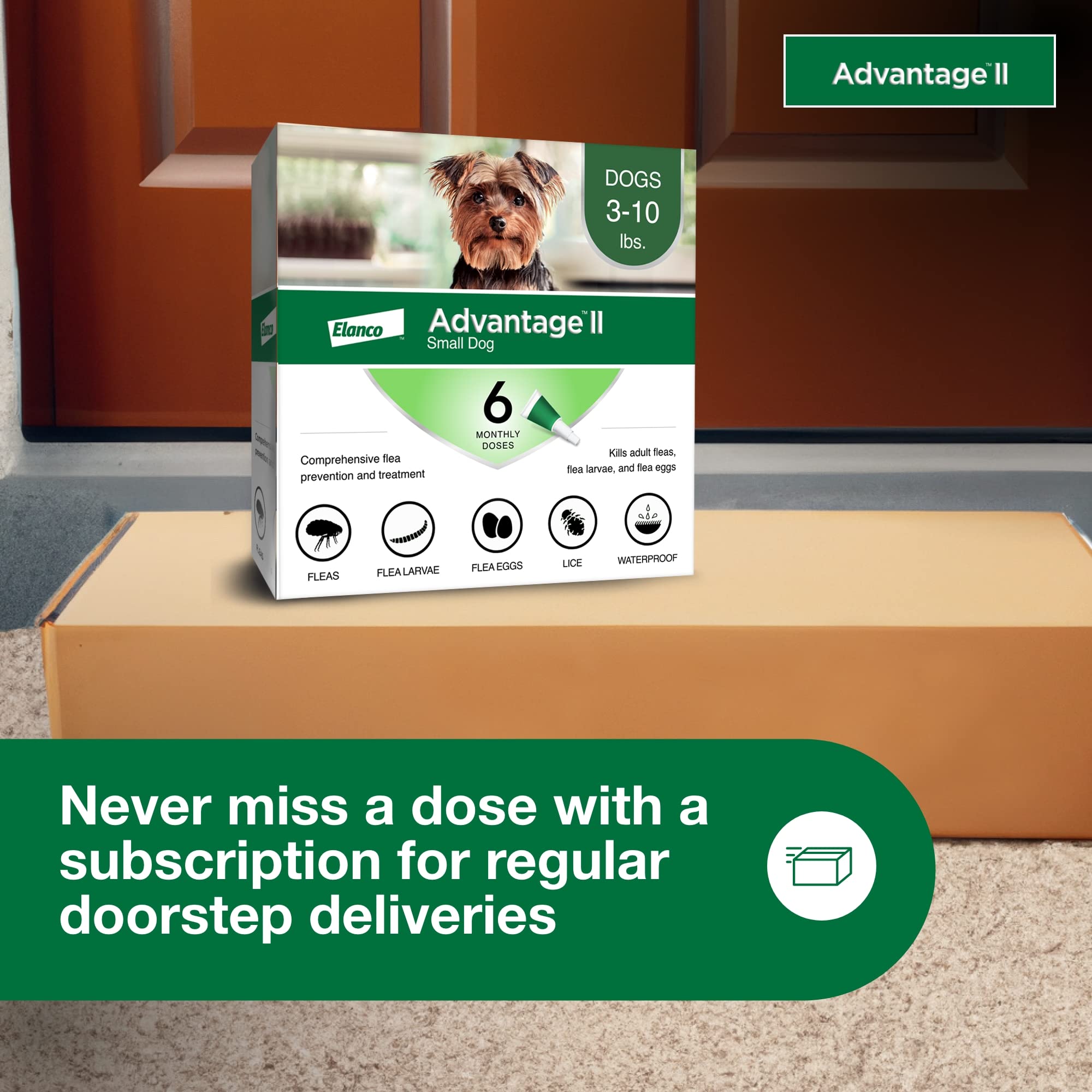 Advantage II es impermeable tras 24 horas de aplicación