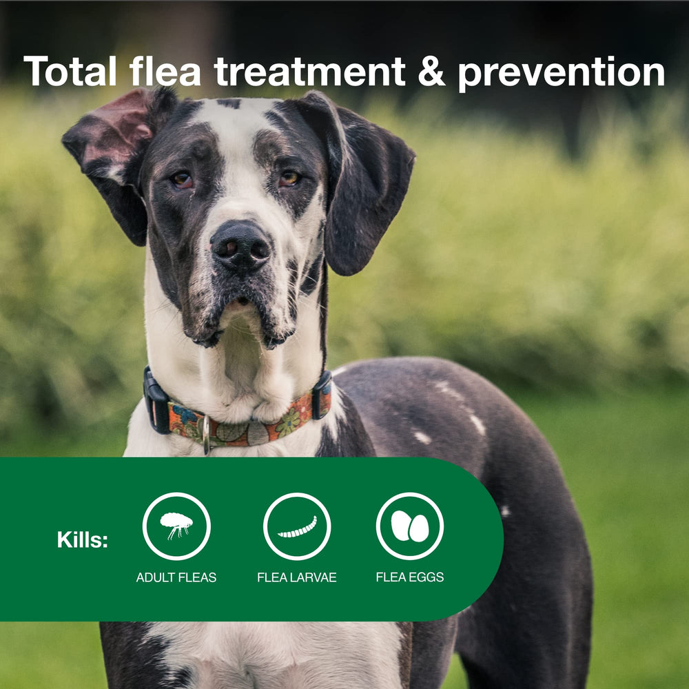 Advantage II XL: protección de 30 días contra pulgas y liendres.
