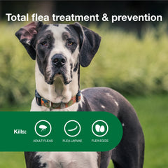 Advantage II XL: protección de 30 días contra pulgas y liendres.
