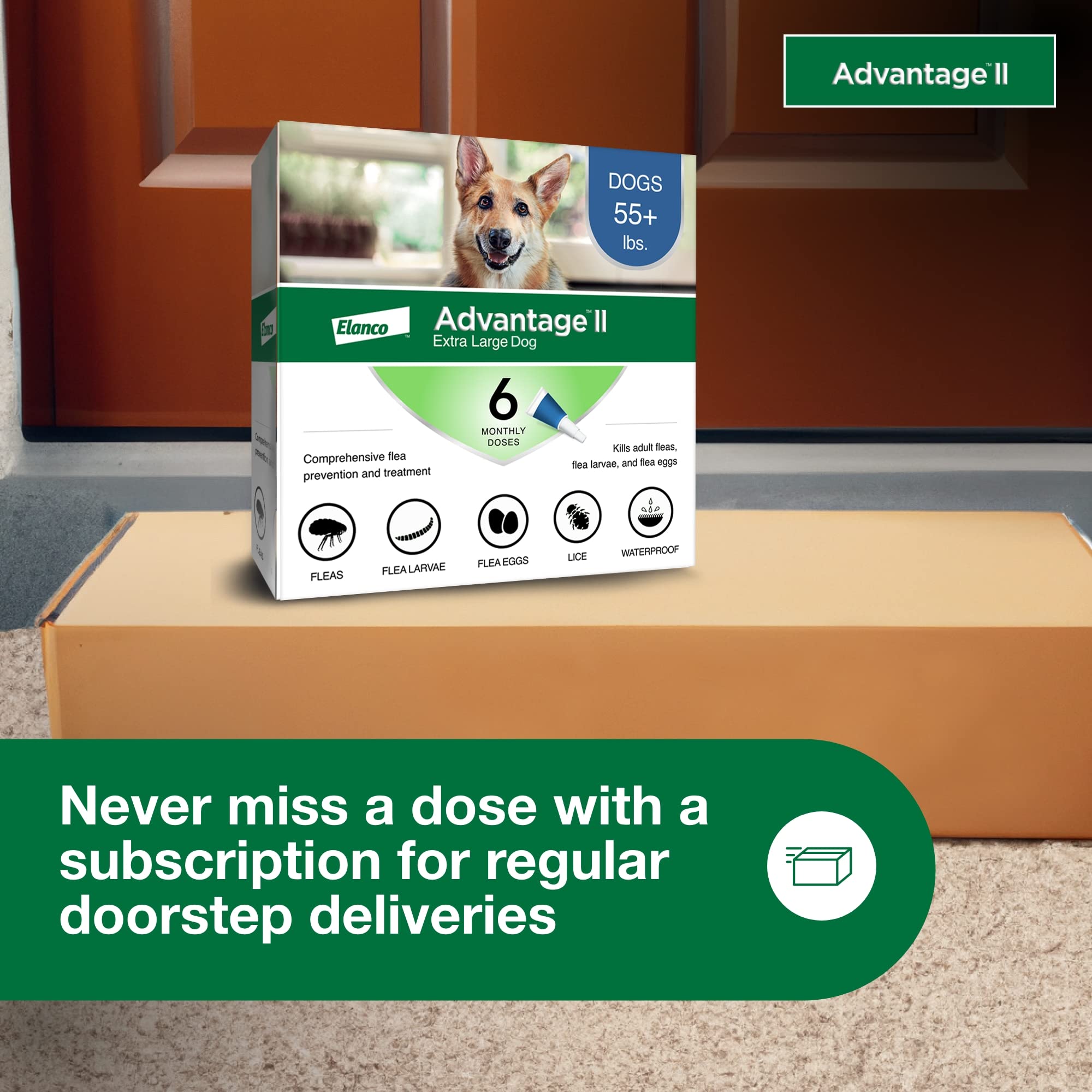 Advantage II XL: uso en interiores y exteriores para mayor versatilidad.