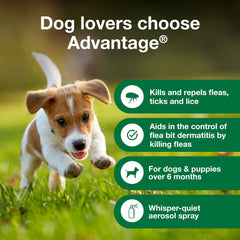 Advantage para perros - elimina pulgas inmaduras y huevos