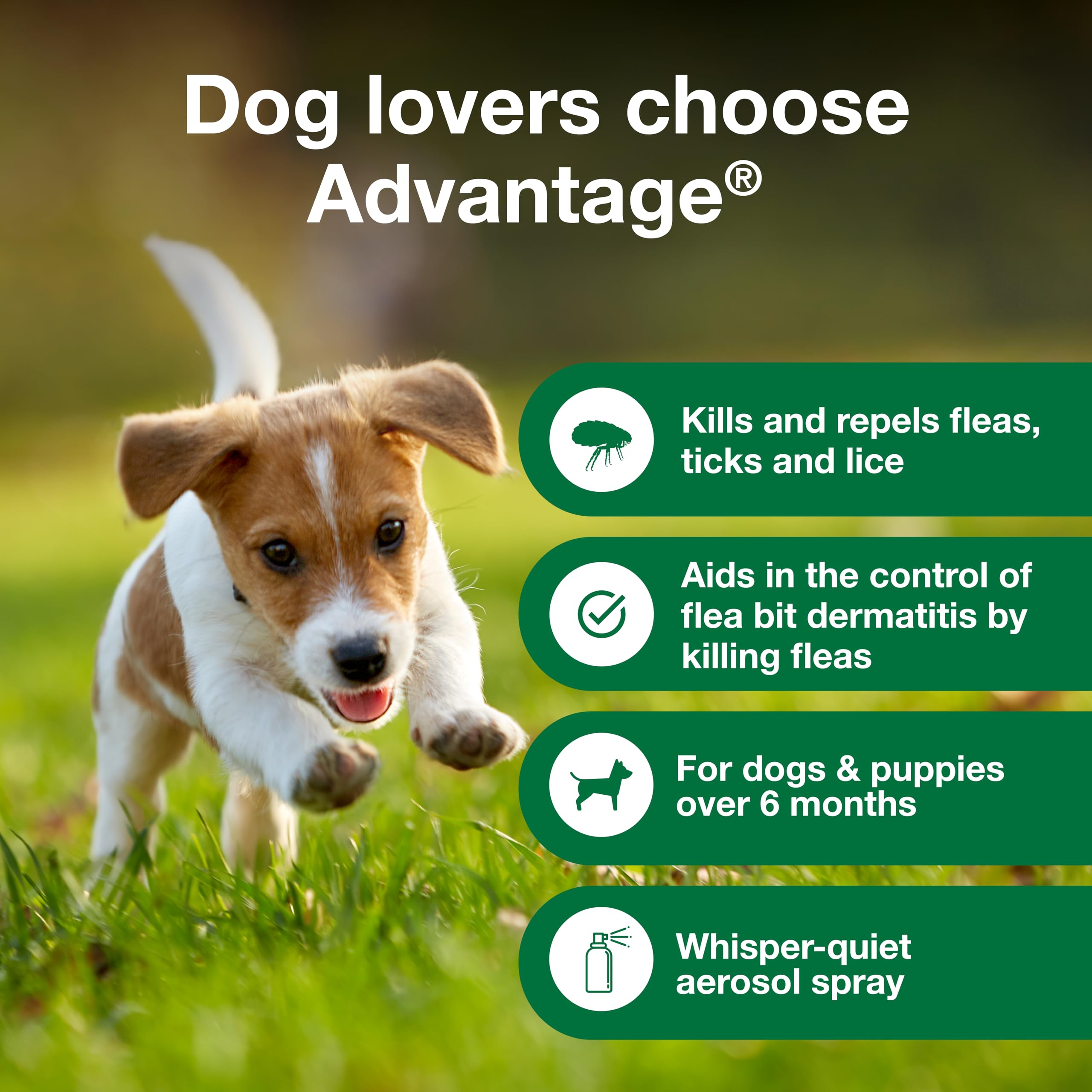 Spray silencioso de Advantage para perros durante la aplicación.