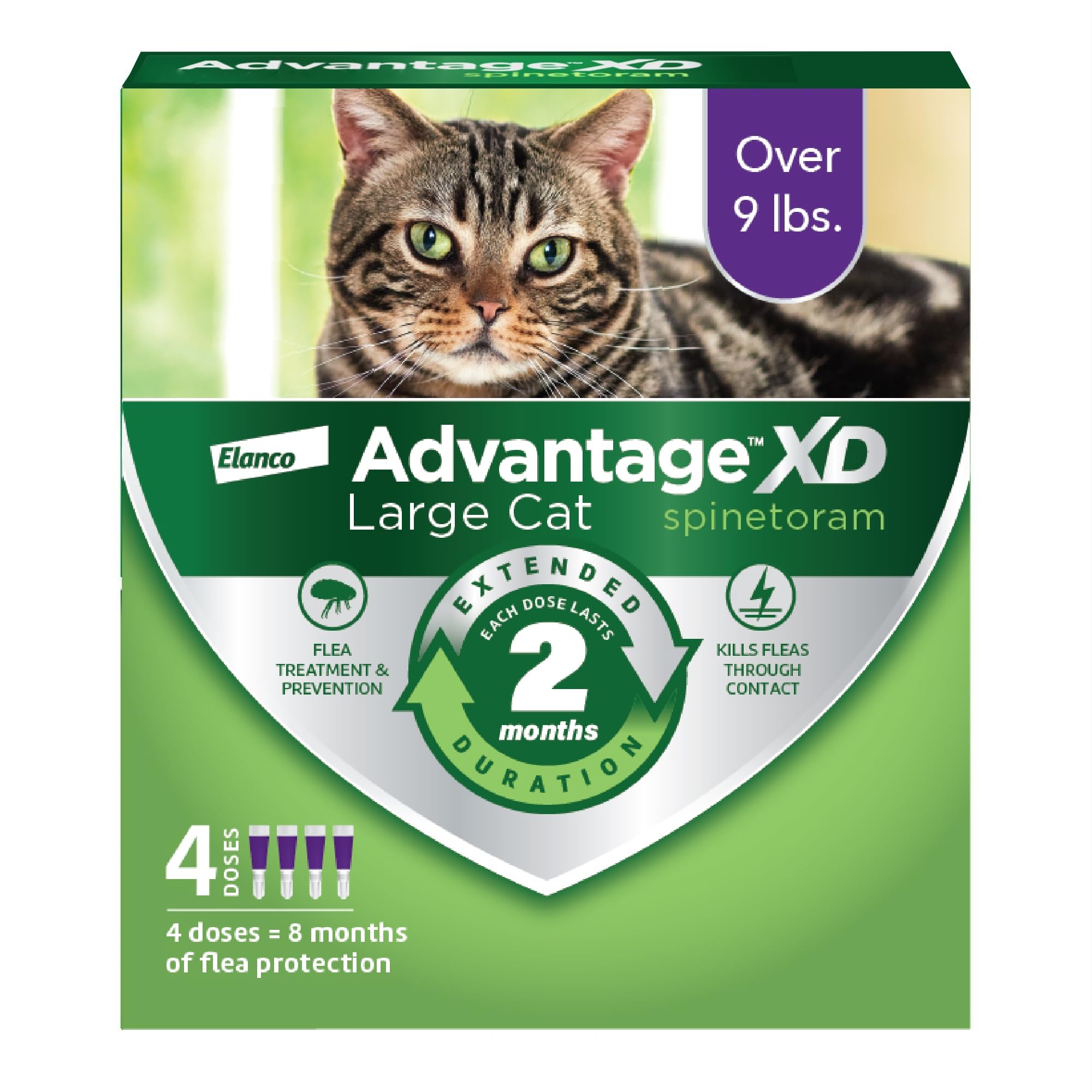 Advantage XD aplicado en la nuca del gato para protección duradera.