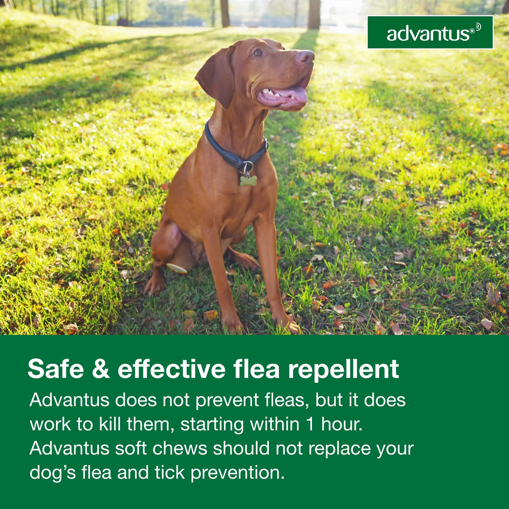Advantus: uso en casa para perros de 23 a 110 lb.