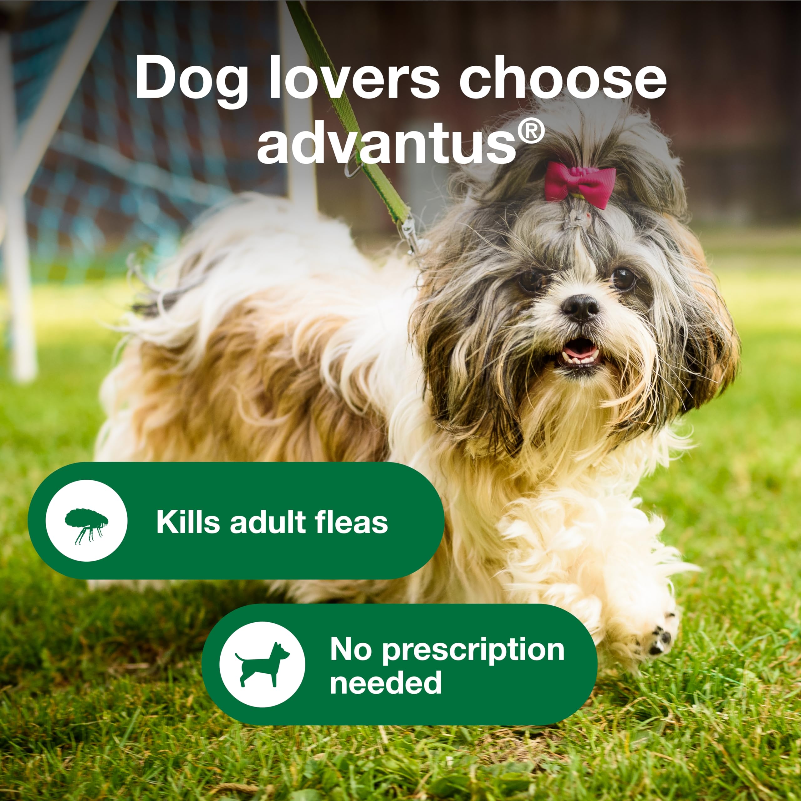 Advantus: masticable fácil de dar a tu perro.