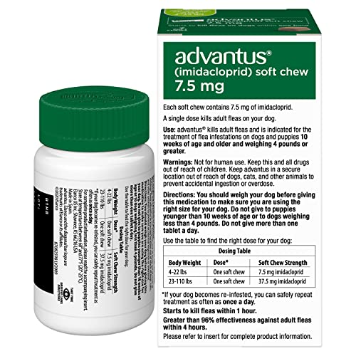 Advantus: tratamiento sin receta para pulgas en perros.