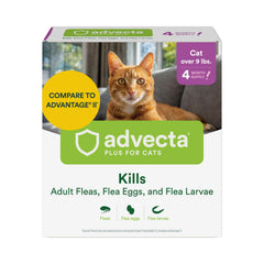 Advecta Plus para gatos: aplicación en el pelaje para control inmediato de pulgas.