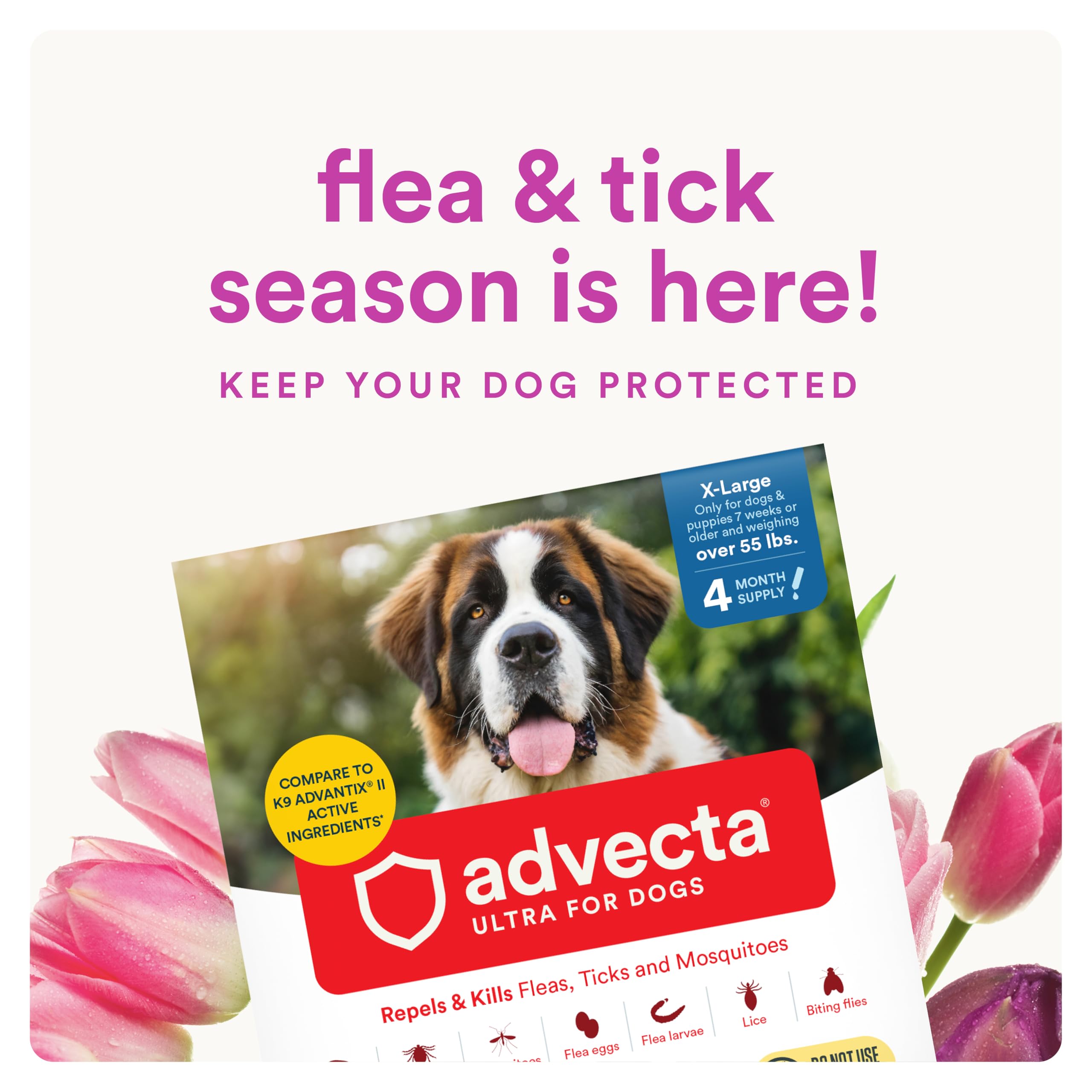 Advecta Ultra: botella de aplicación para perro, eficaz contra pulgas y garrapatas.