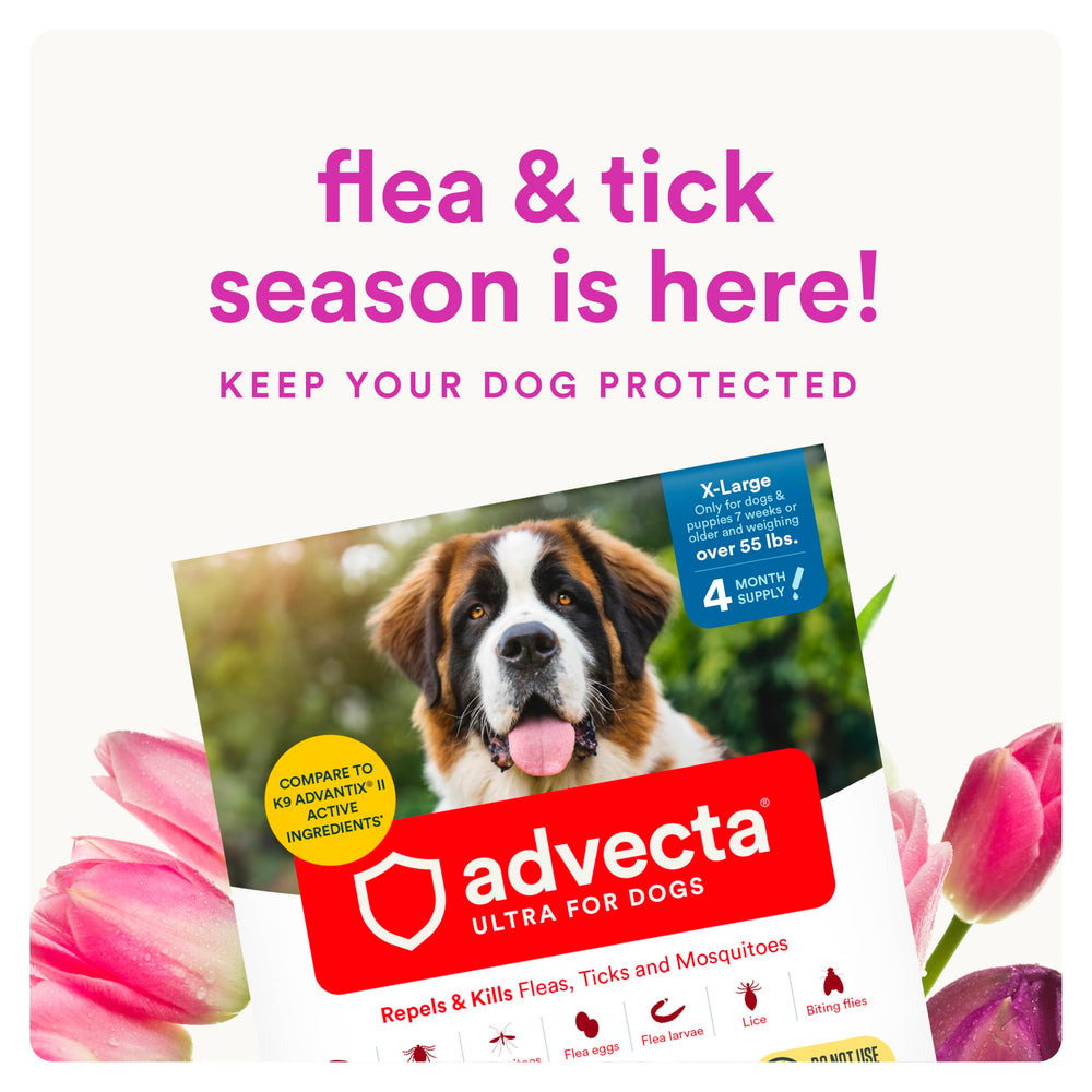 Advecta Ultra: botella de aplicación para perro, eficaz contra pulgas y garrapatas.