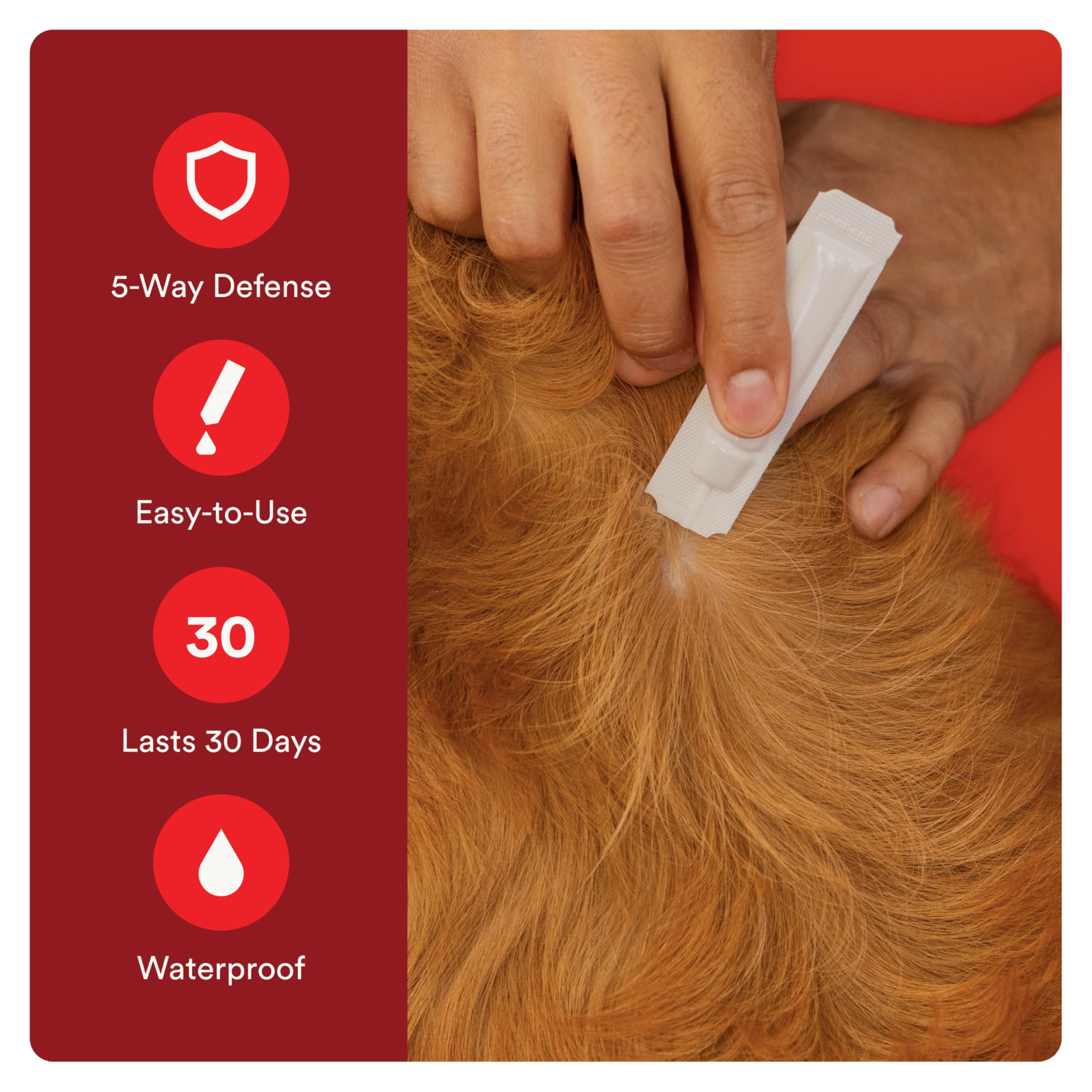 Advecta Ultra iconos de pulgas, garrapatas y mosquitos para prevención.