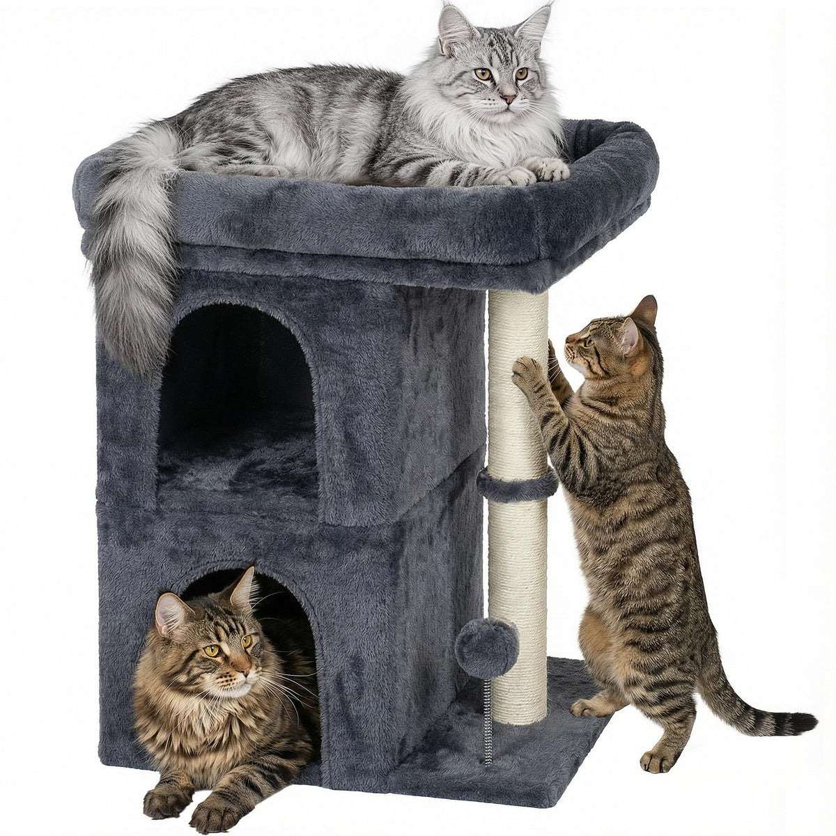 Aechonow arbol gato grande con plataforma amplia para observar desde la altura