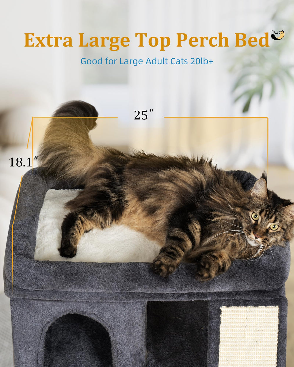 Árbol para Gato XL de Aechonow: cojín de pelo desmontable para limpieza rápida
