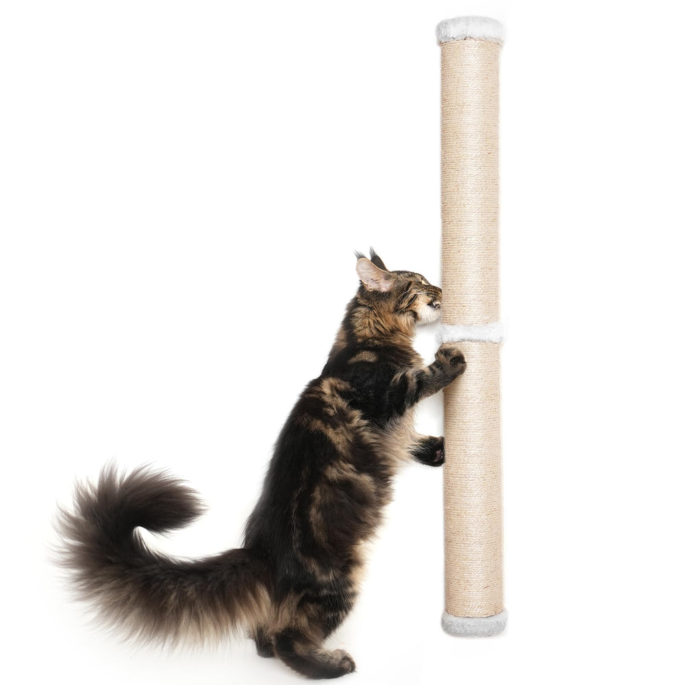 Aechonow poste-rascador-uso-interior-gatos-grandes es ideal para hogares.
