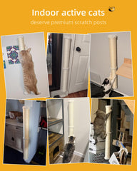 Uso vertical de rascar Aechonow: estimula músculos y mejora la movilidad felina.