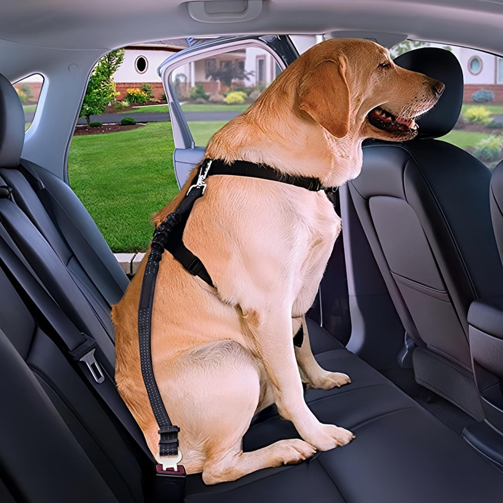 Aerkersun uso universal para coche: sentado, de pie o acostado.