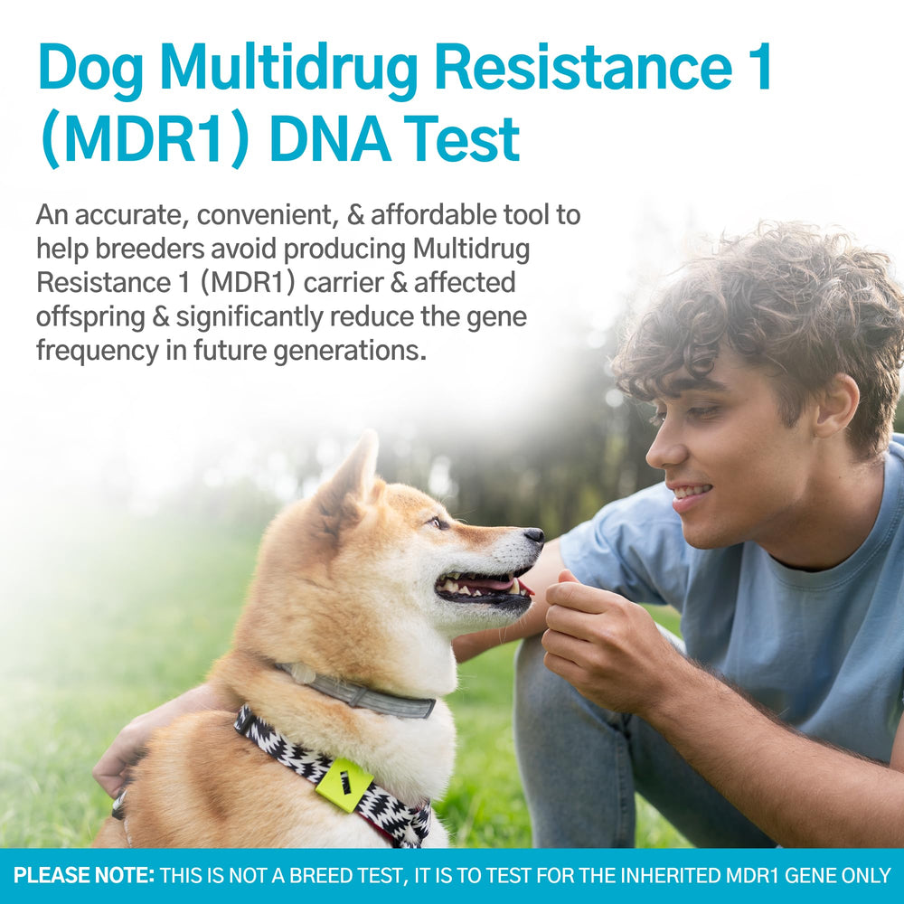 AffinityDNA MDR1: prueba de ADN rápida para perros y decisiones informadas