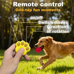 Affiuya bola inteligente con control remoto facilita entrenamiento y diversión a distancia.