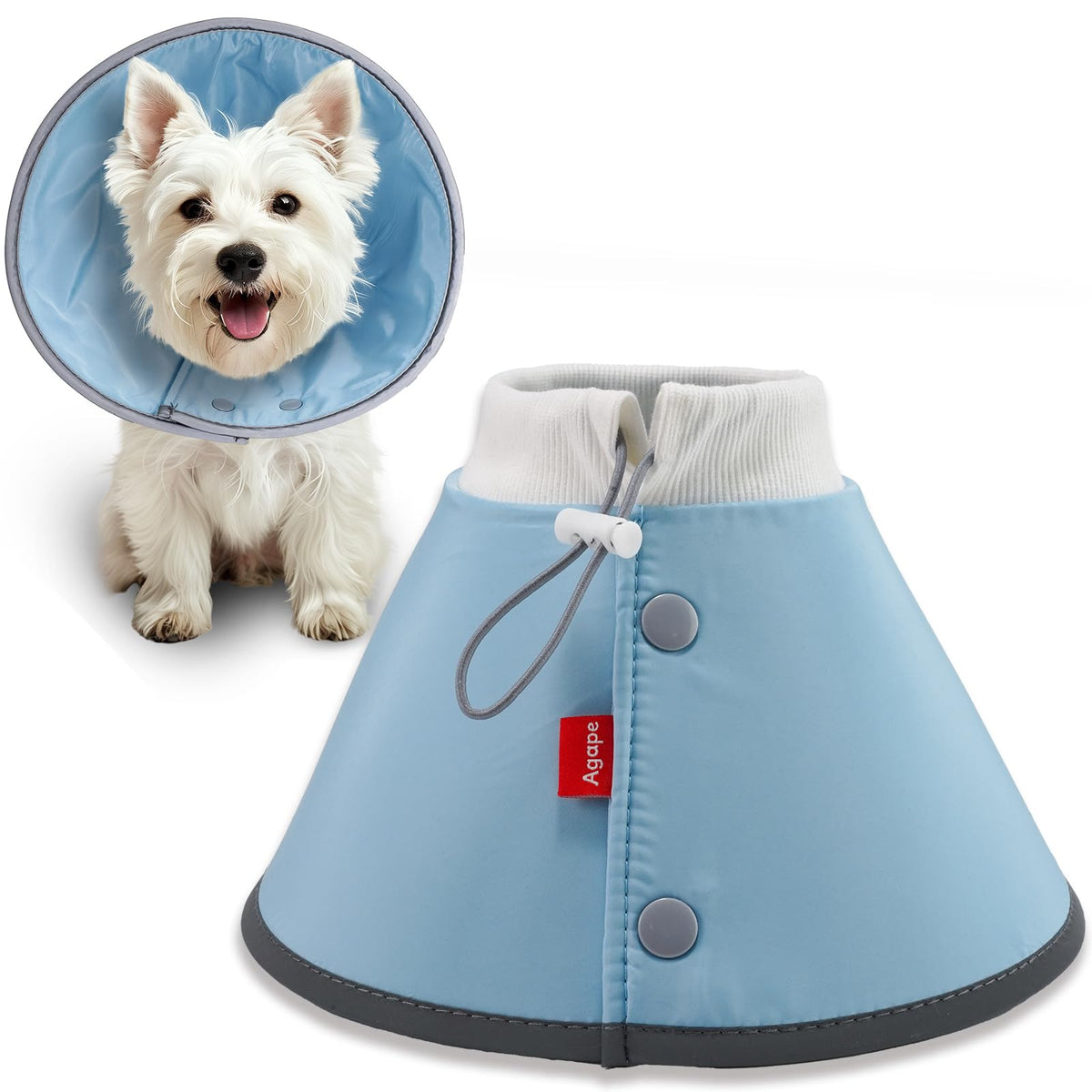 Agape cono suave para perro pequeño en reposo, comodidad suave alrededor del cuello.