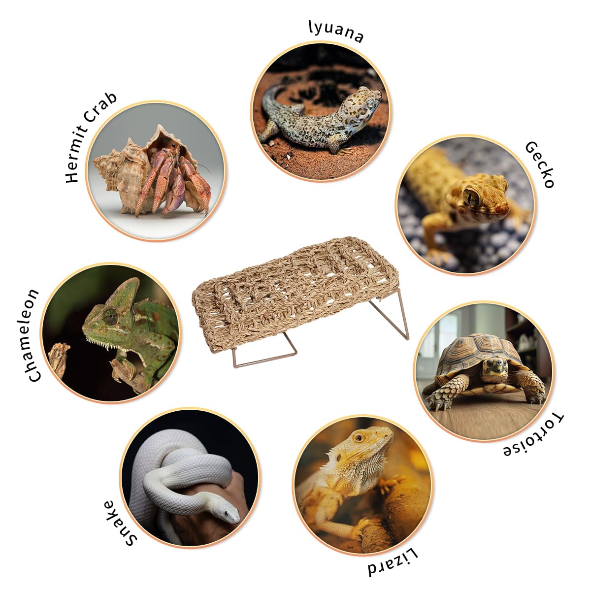 AGGQQA hamaca para reptiles apta para dragon barbudo, lagartos y serpientes