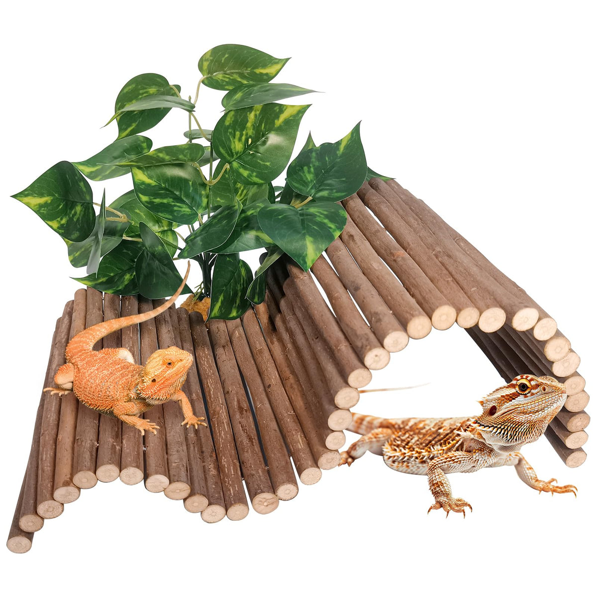AGGQQA puente de madera para reptiles, ideal para dragón barbudo y geckos.