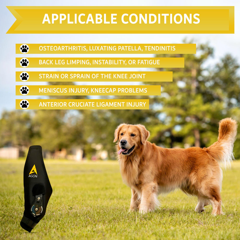AGON neopreno para perro rodilla duradera ofrece comodidad y libertad de movimiento.