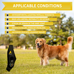AGON neopreno para perro rodilla duradera ofrece comodidad y libertad de movimiento.
