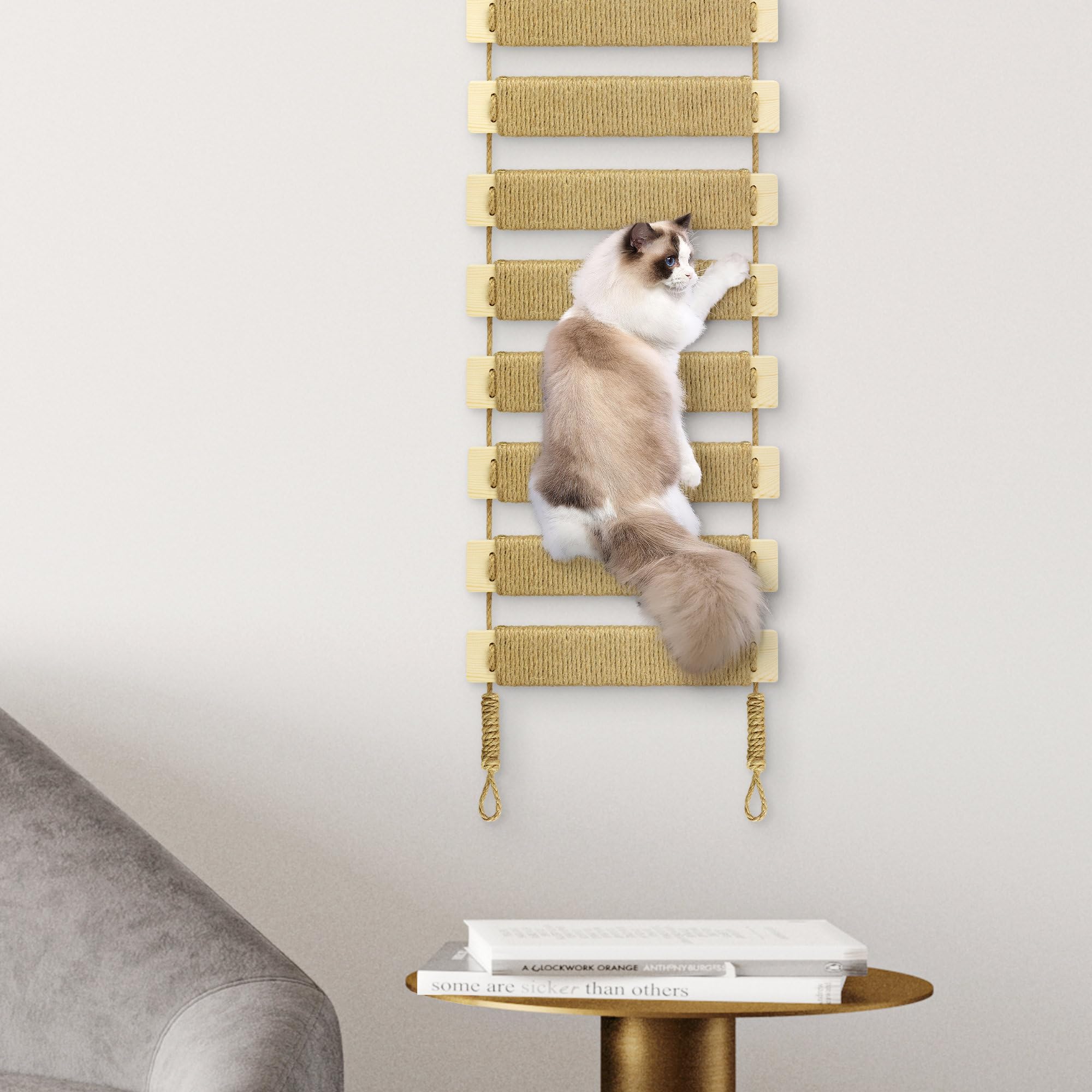 Agricue base-robusta-gatos: garantiza estabilidad durante la escalada