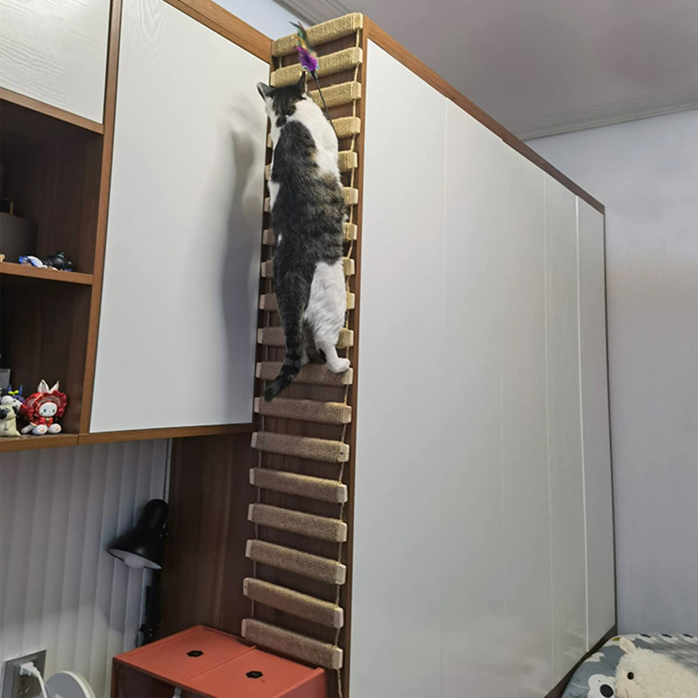 AGRICUE escalera para jaula de gatos: acceso cómodo y ejercicio diario.