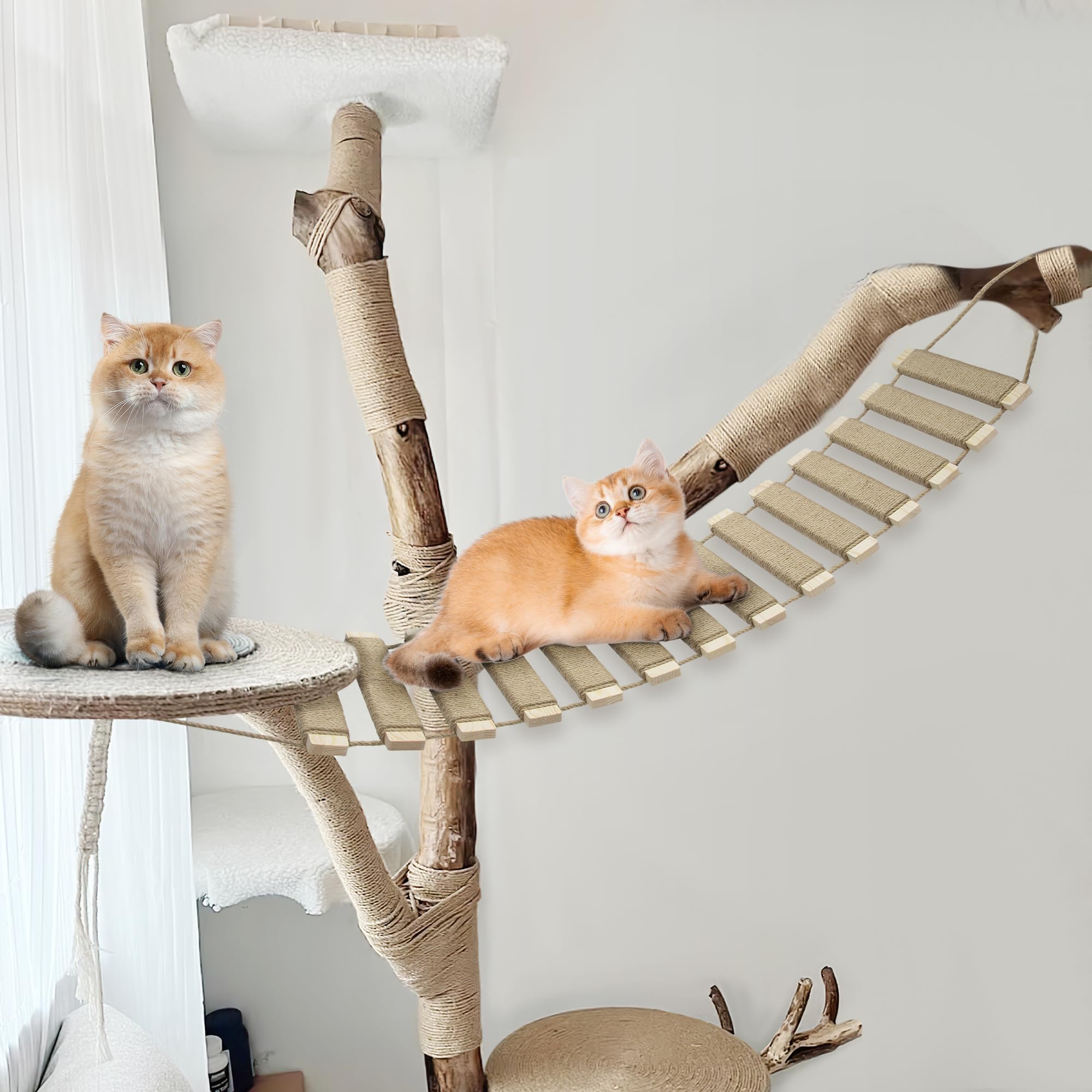AGRICUE puente para gatos en pared con cuerda sisal para paso seguro