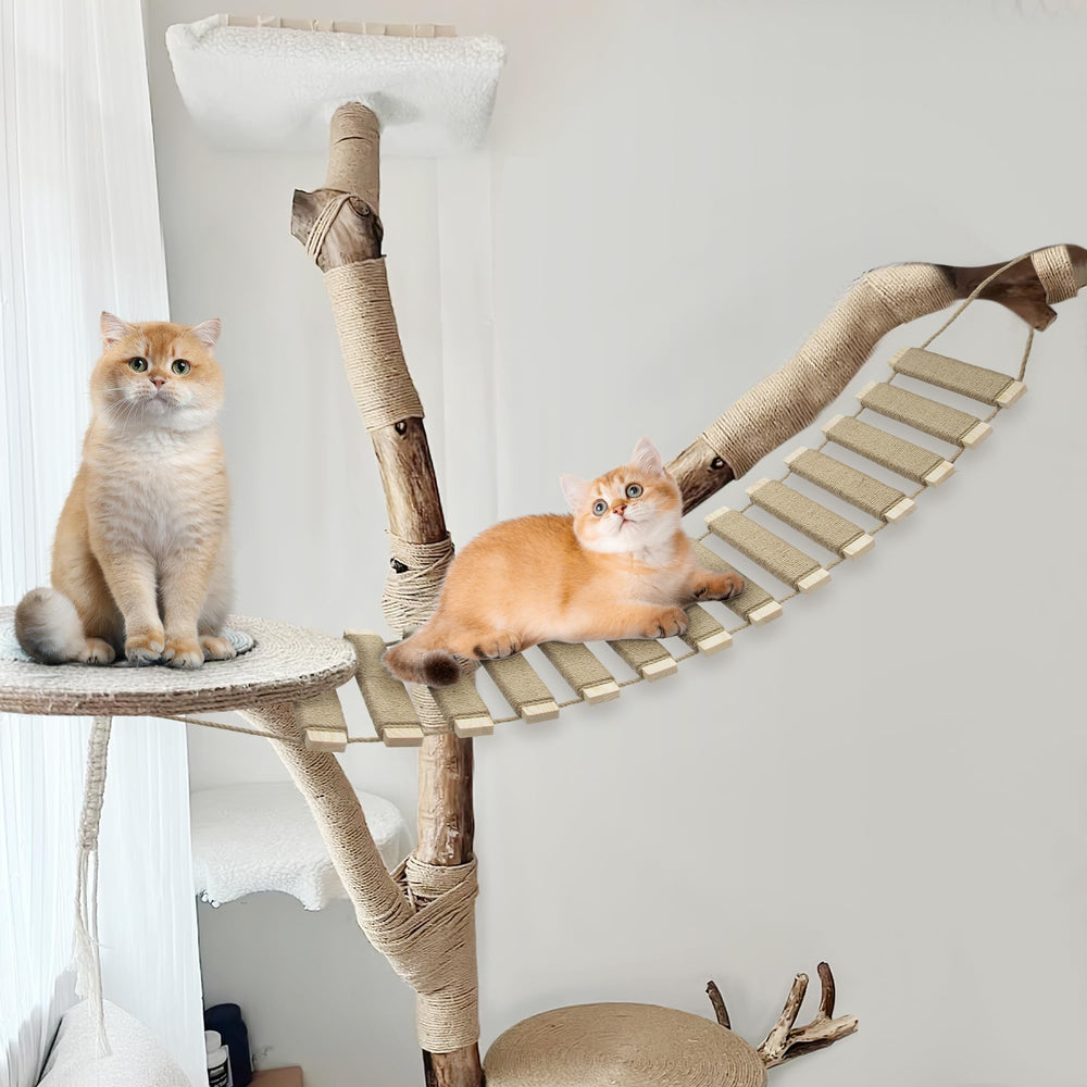 AGRICUE puente para gatos en pared con cuerda sisal para paso seguro