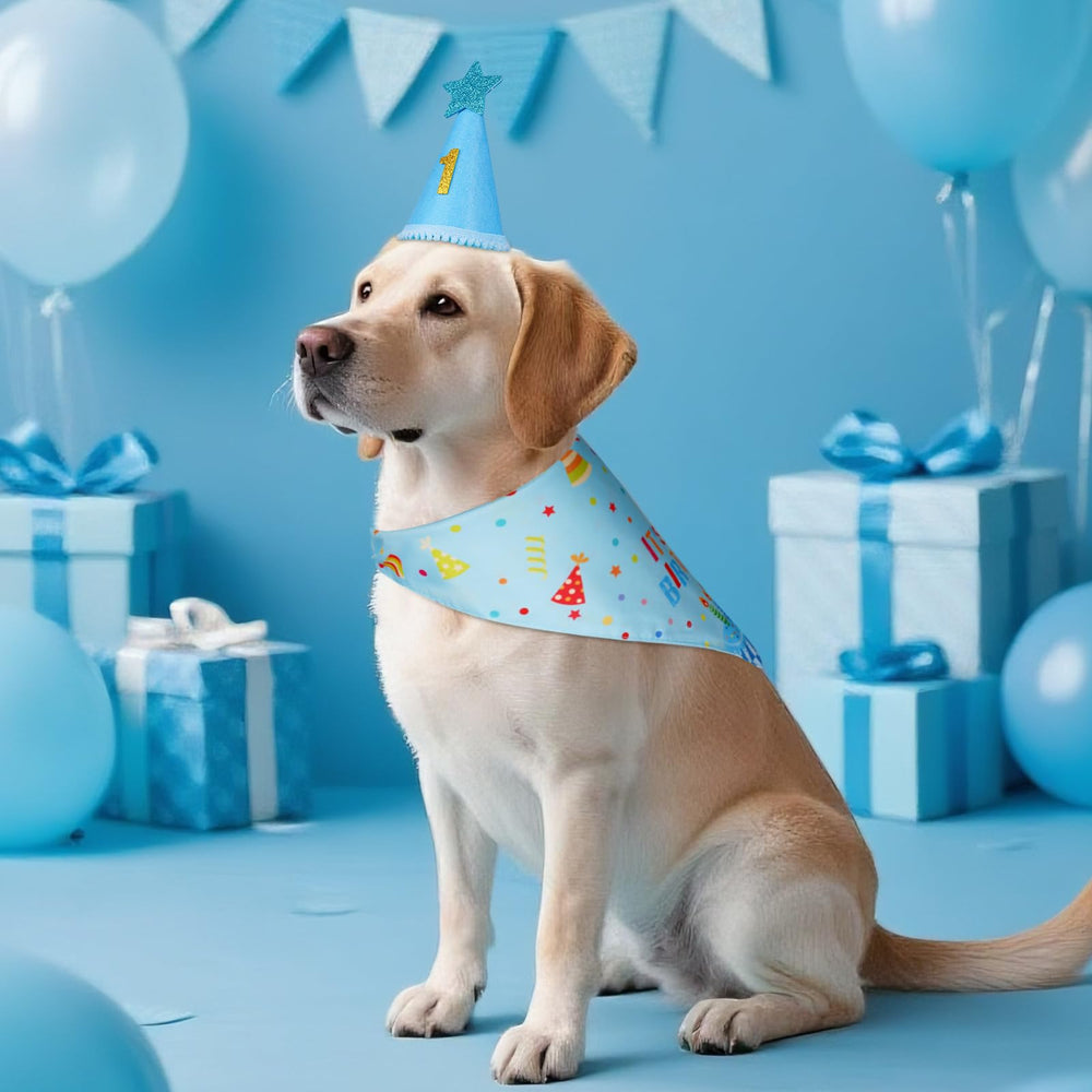 Bandana Agroon diseño colorido, perfecto para momentos especiales