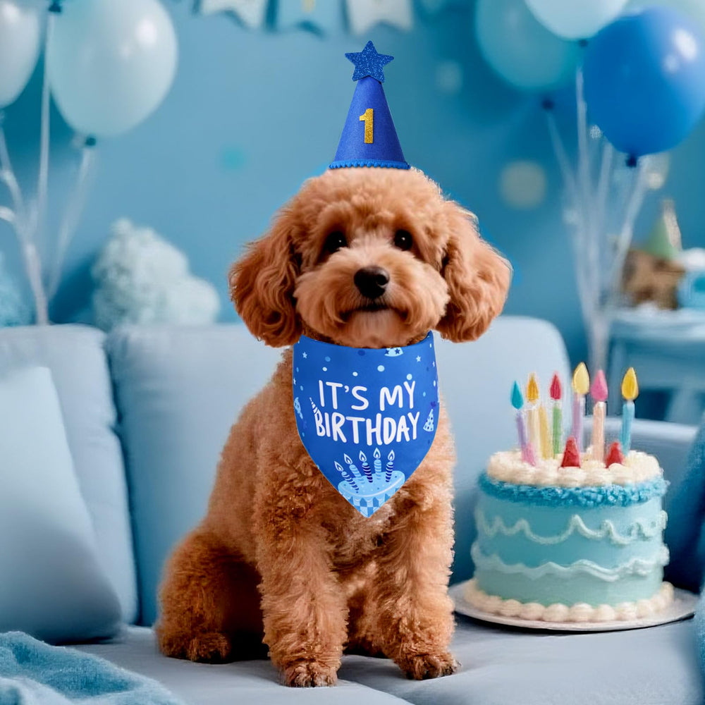 Agroon bandana doble cara Es Mi Cumpleaños para sesiones de fotos.