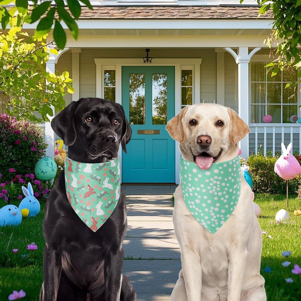 Bandana Agroon Pascua talla grande, ajuste seguro para perros grandes en reuniones.