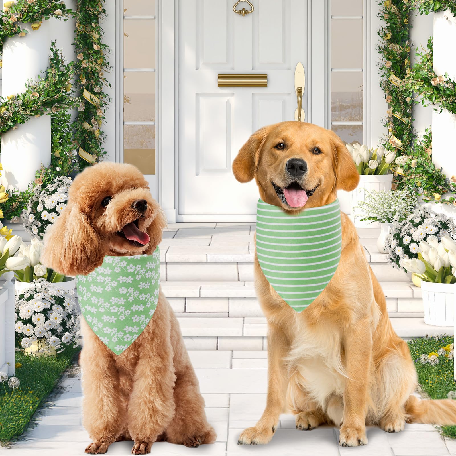 Bandana Agroon para perros, colores vivos para sesiones de fotos.