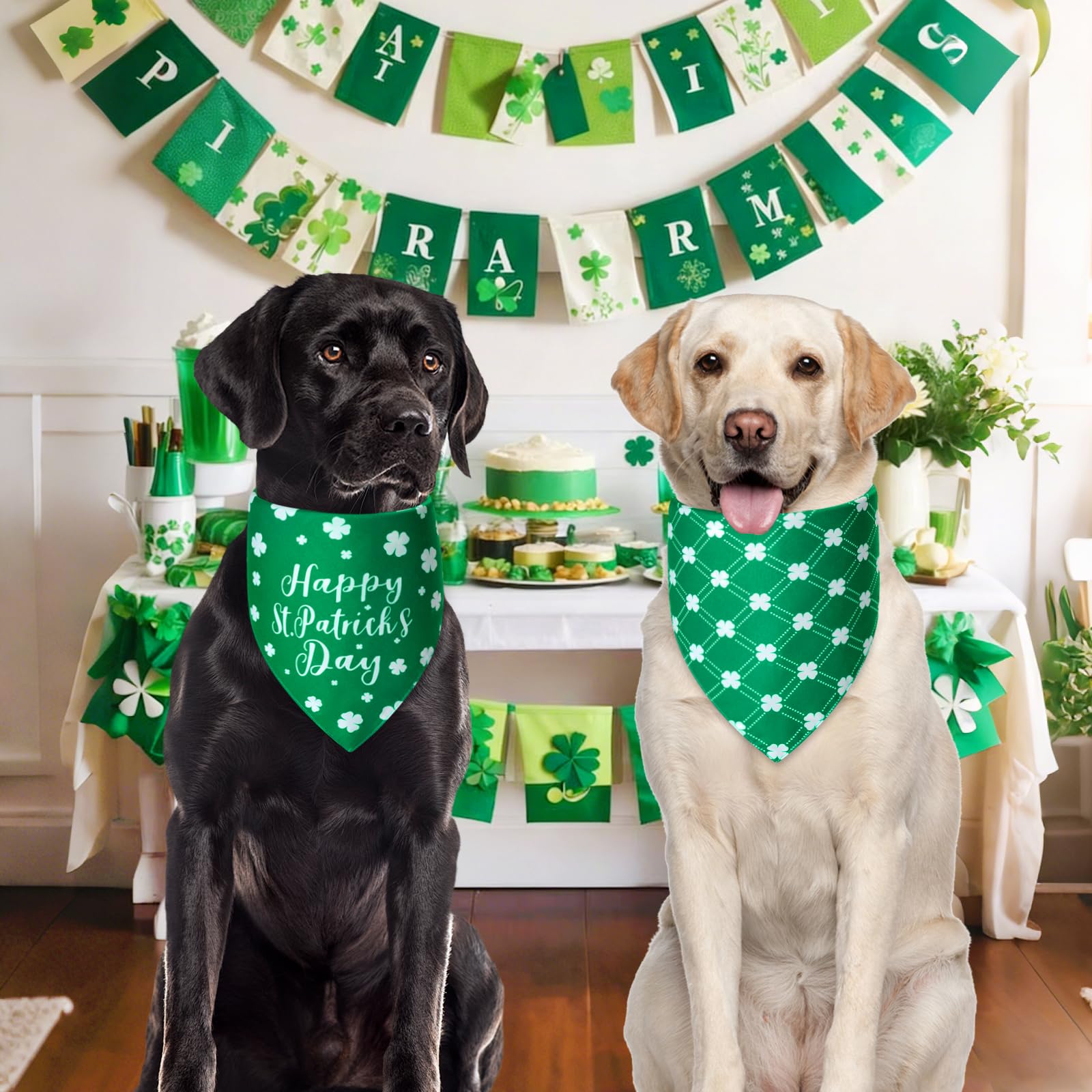 Perfecta para sesiones familiares o regalo temático de San Patricio.