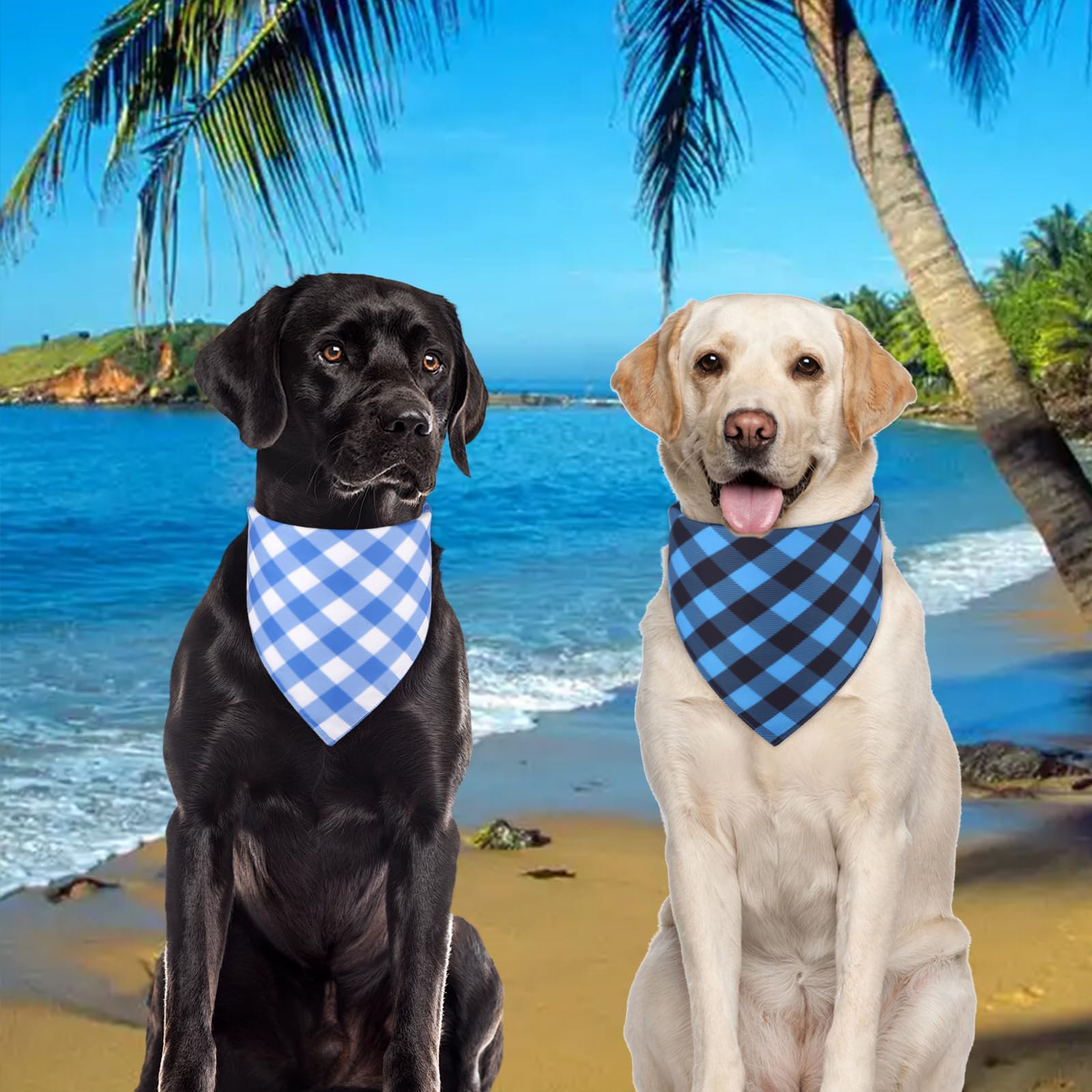 Bandanas Agroon fáciles de lavar, listas para reutilizar tras aventuras.