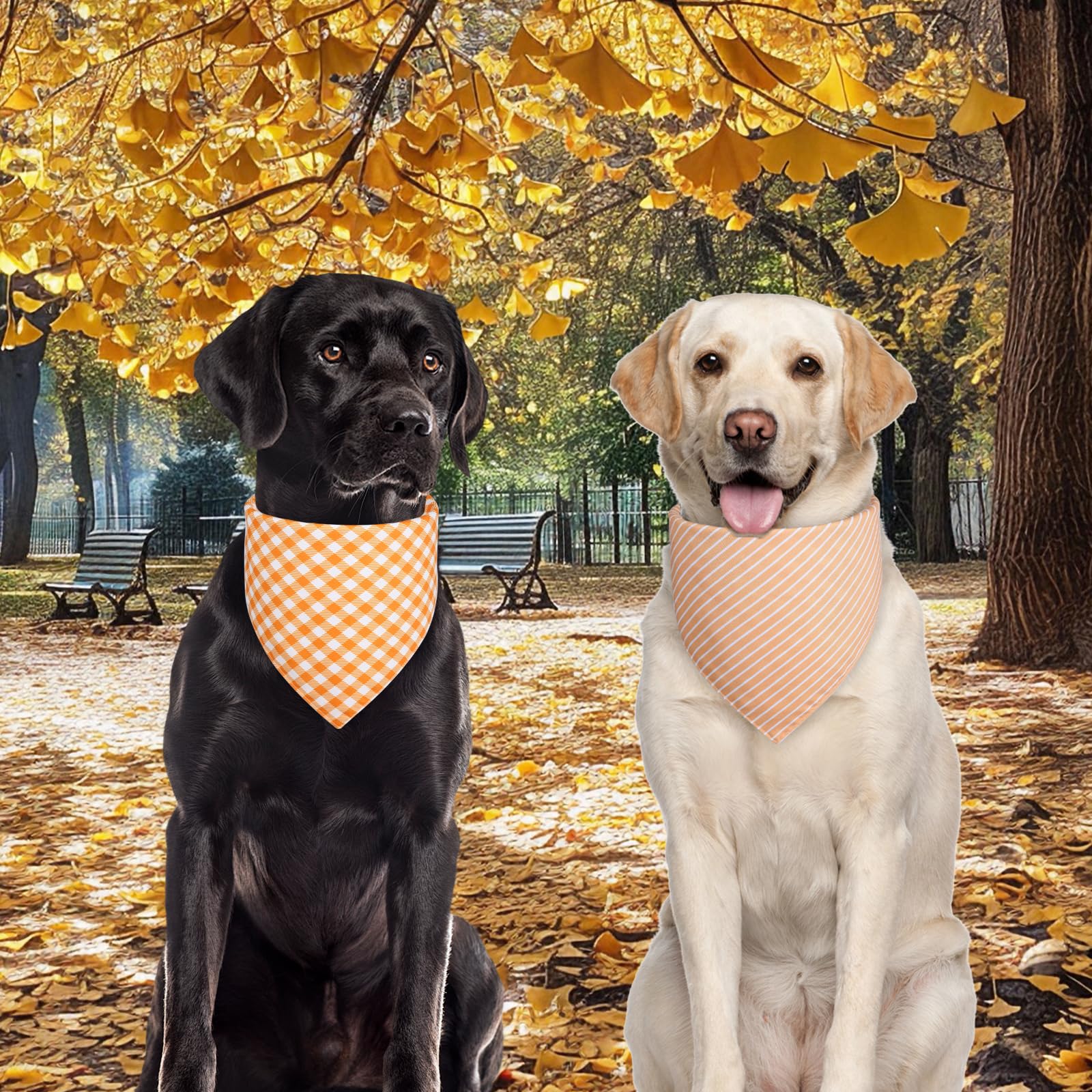 Bandanas Agroon para perro: colores vivos que no pasan de moda.