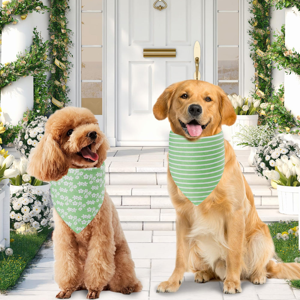 Agroon bandanas primavera talla mediana, opción versátil para perros medianos