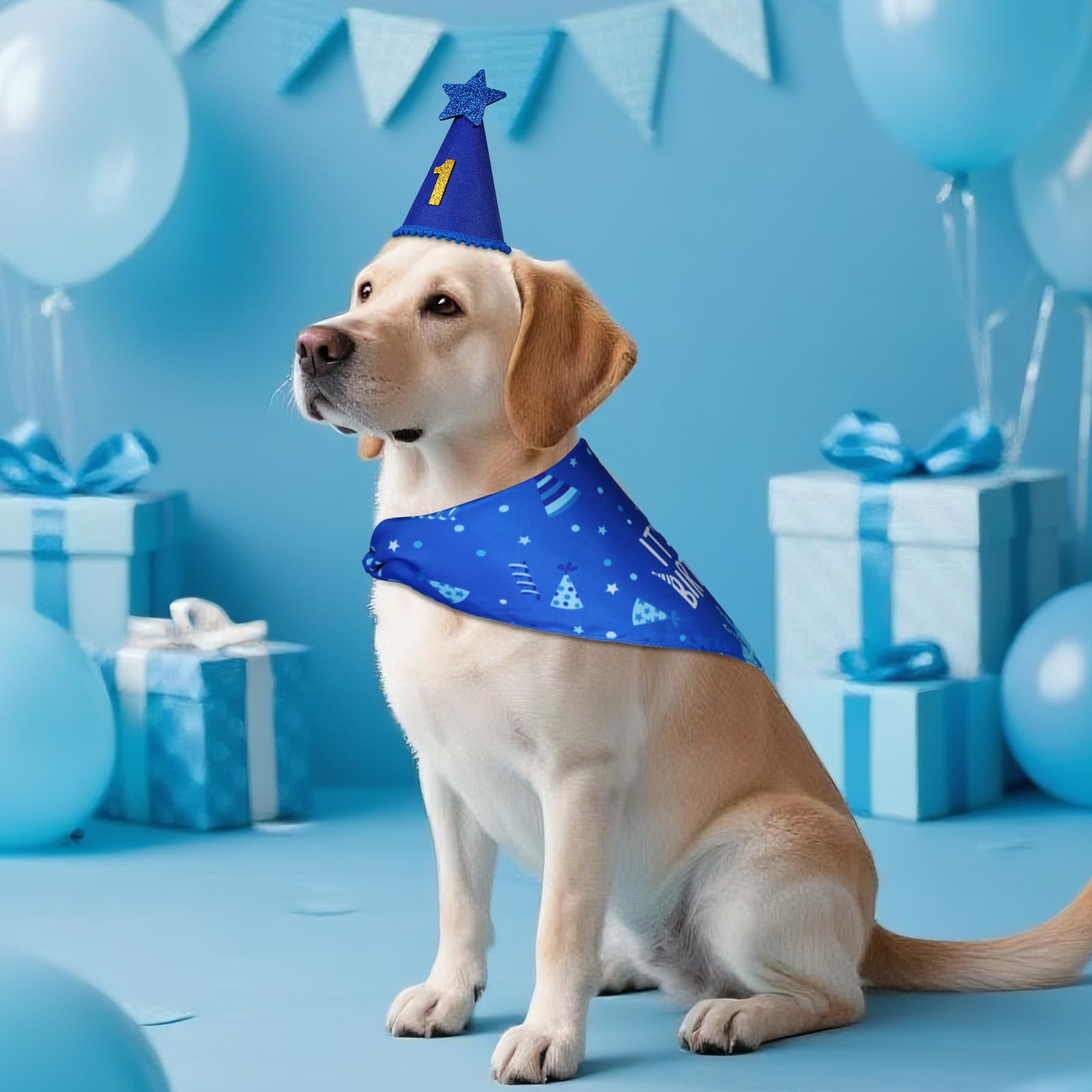 Agroon pañuelo cumpleaños perro, doble cara.