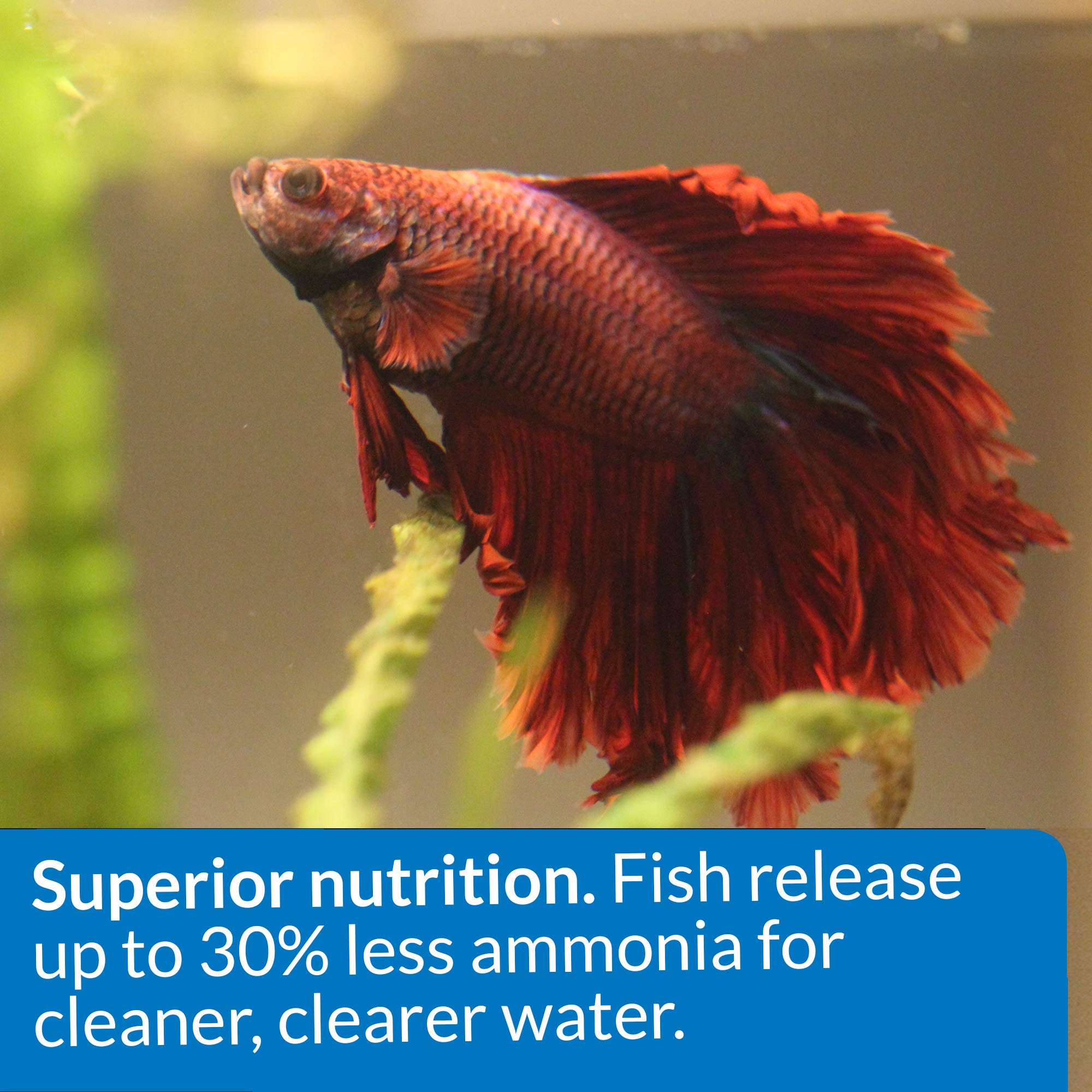 detalle de la textura de pellets API BETTA FOOD flotantes