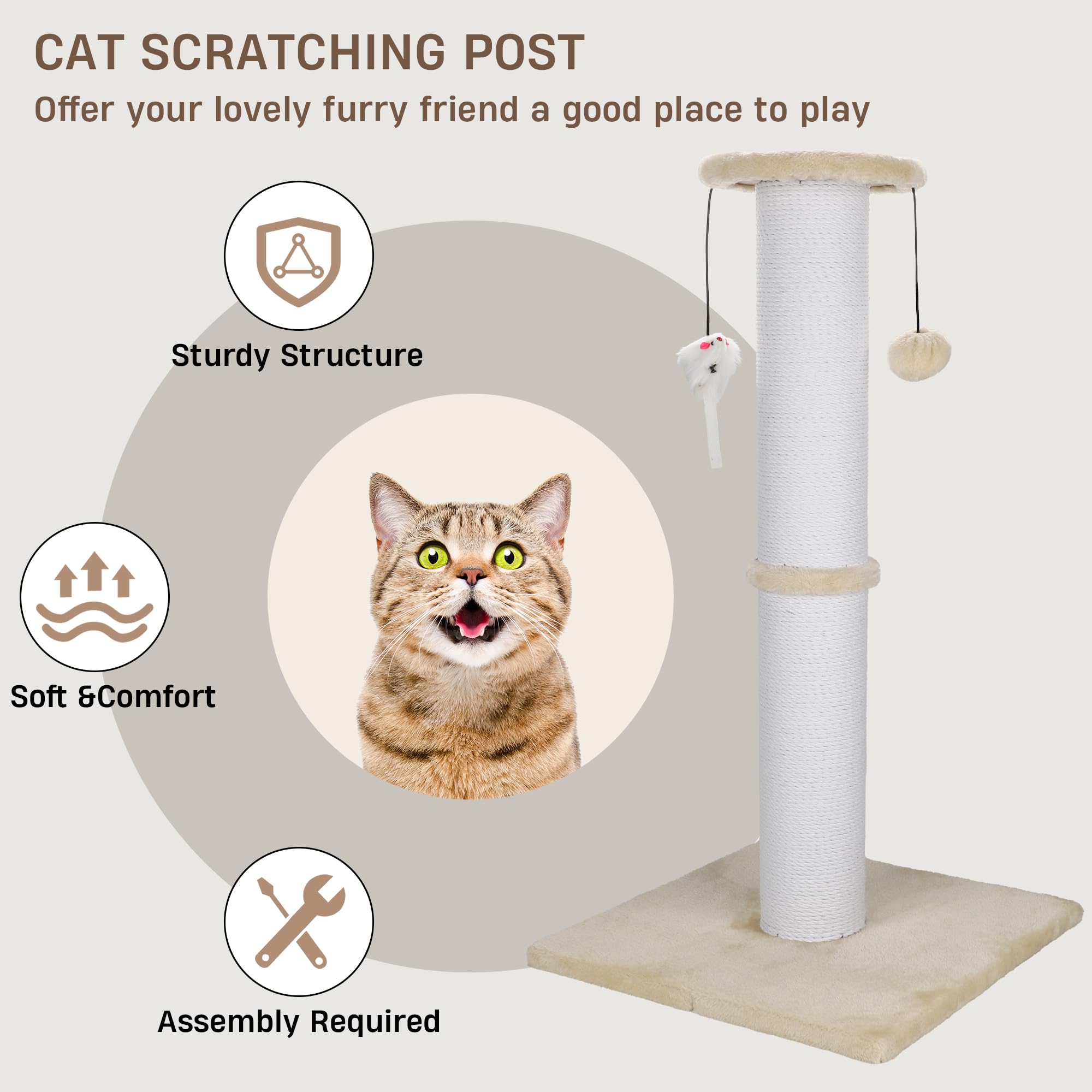 Ahomdoo poste gato base amplia y estable para uso intensivo