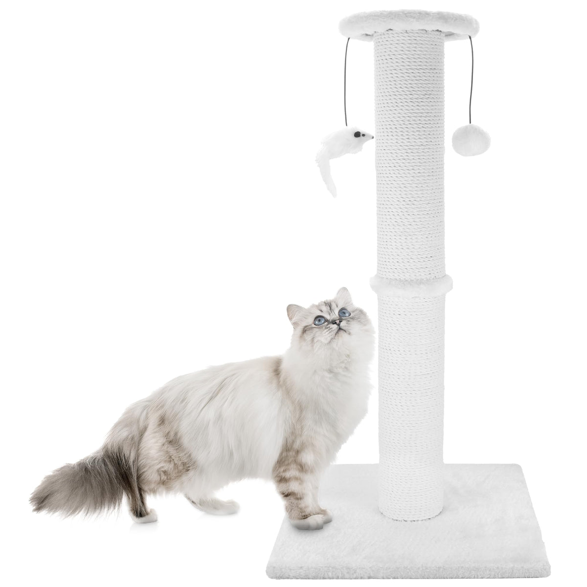 Ahomdoo poste rascador para gatos de 34 pulgadas con bola colgante.