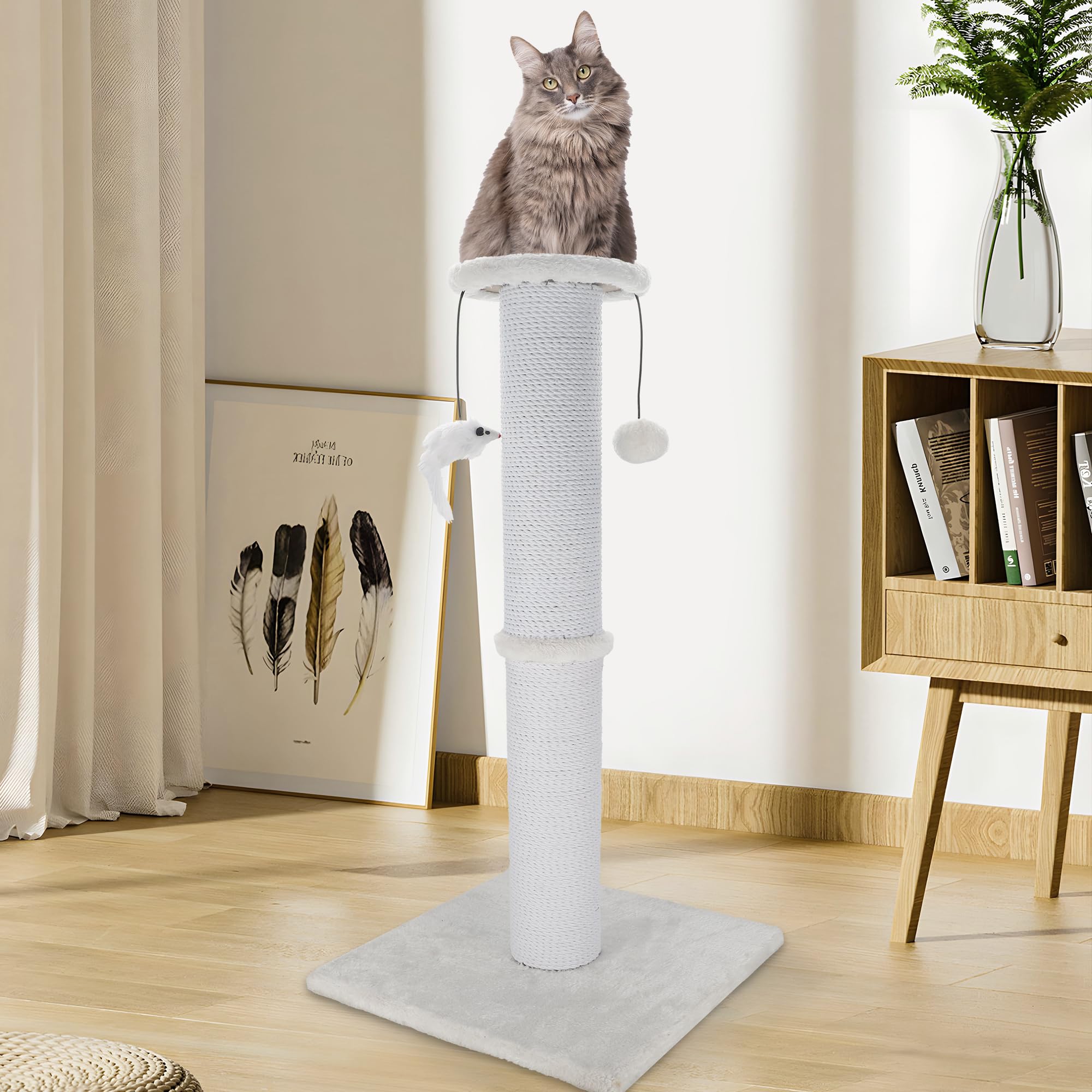 Ahomdoo uso en interiores para gatos adultos.