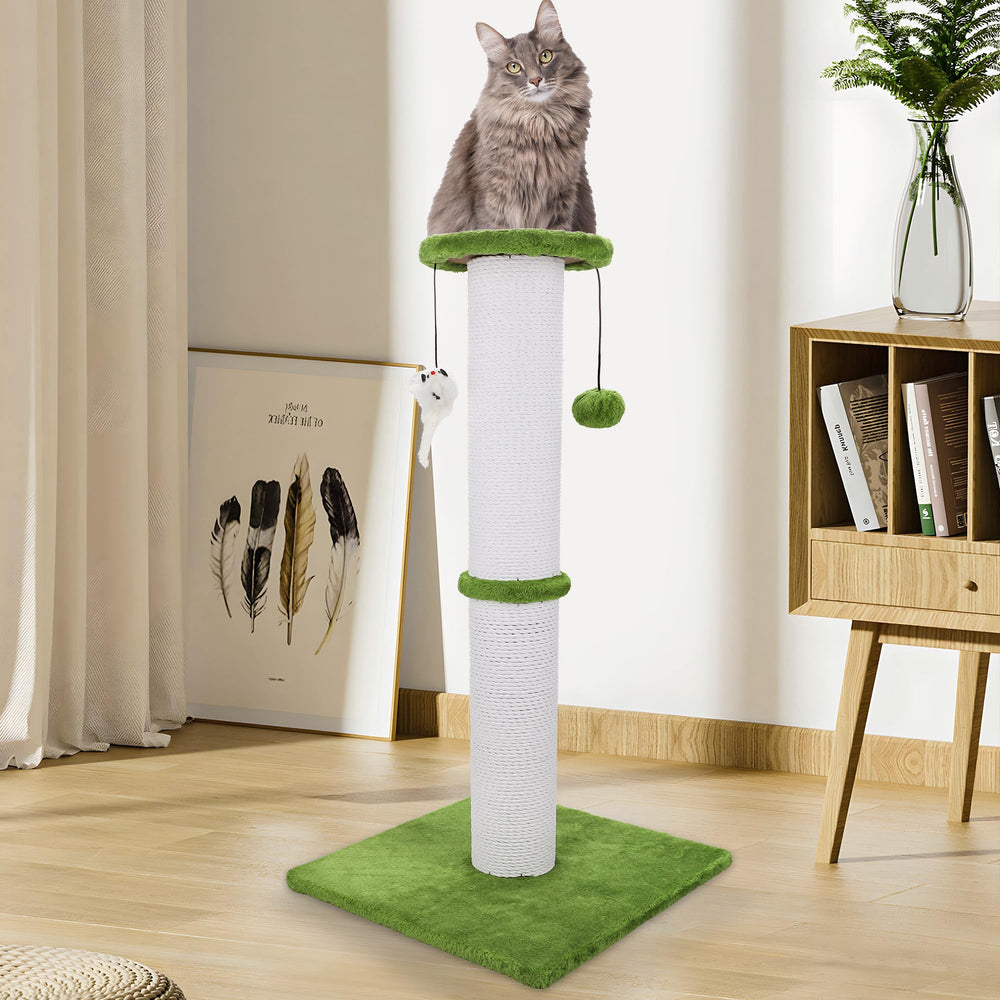 Uso en interiores de Ahomdoo, diseño funcional para gatos adultos.