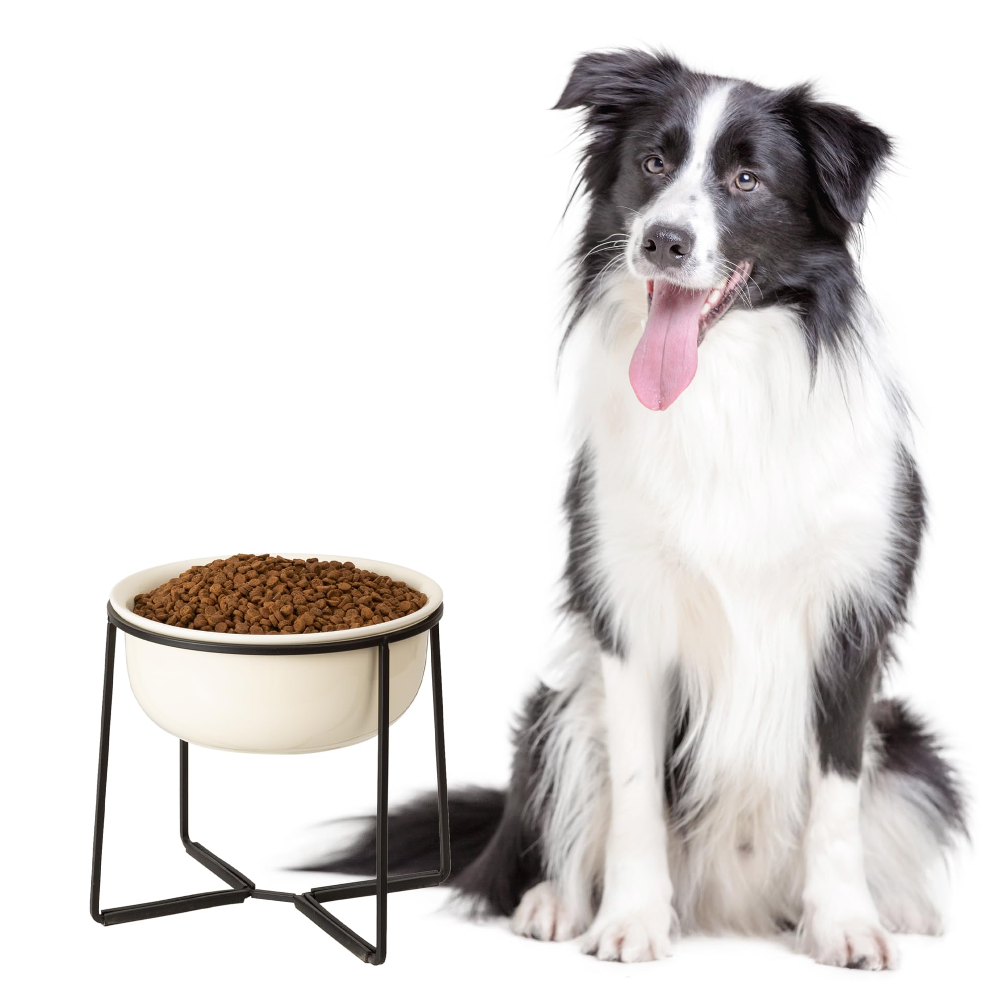 AHX plato perro elevado de cerámica para comer con postura mejorada