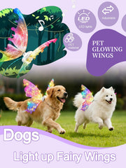AIANR Alas hada con gradiente de luz para perros, perfecto para retratos al aire libre